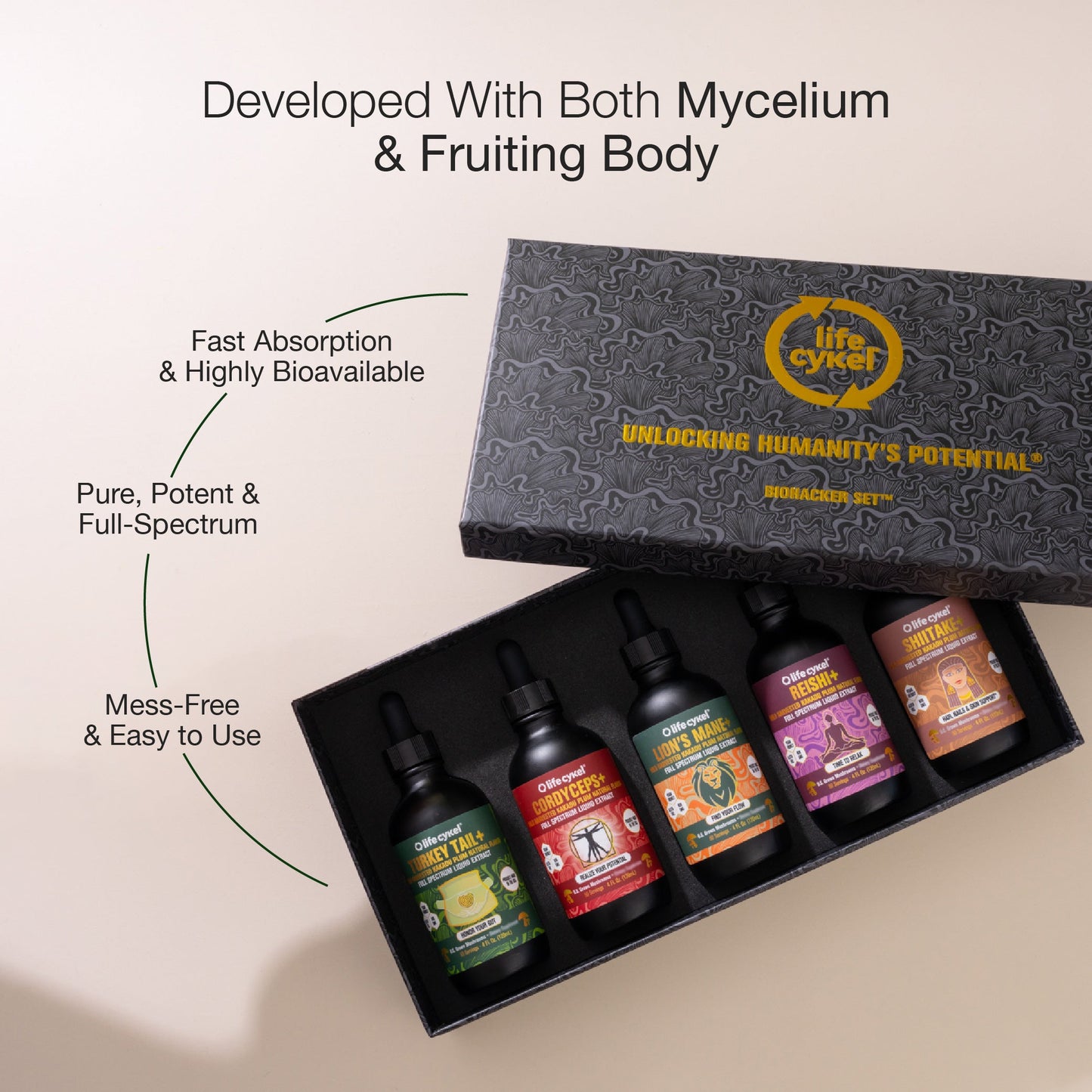 Collection of Lifecykel mushroom extracts product bottles in a black box with 'Lifecykel' branding on a beige background.