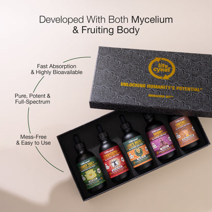 Collection of Lifecykel mushroom extracts product bottles in a black box with 'Lifecykel' branding on a beige background.
