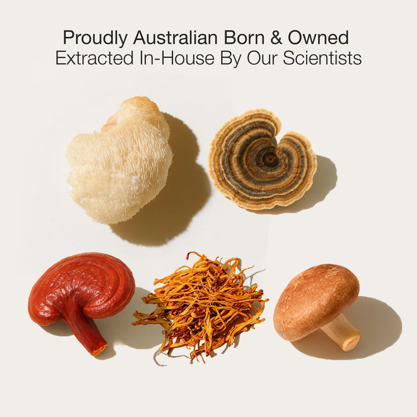 Five different types of mushrooms on a light background with text about being 'Proudly Australian Born & Owned' and 'Extracted In-House By Our Scientists'.