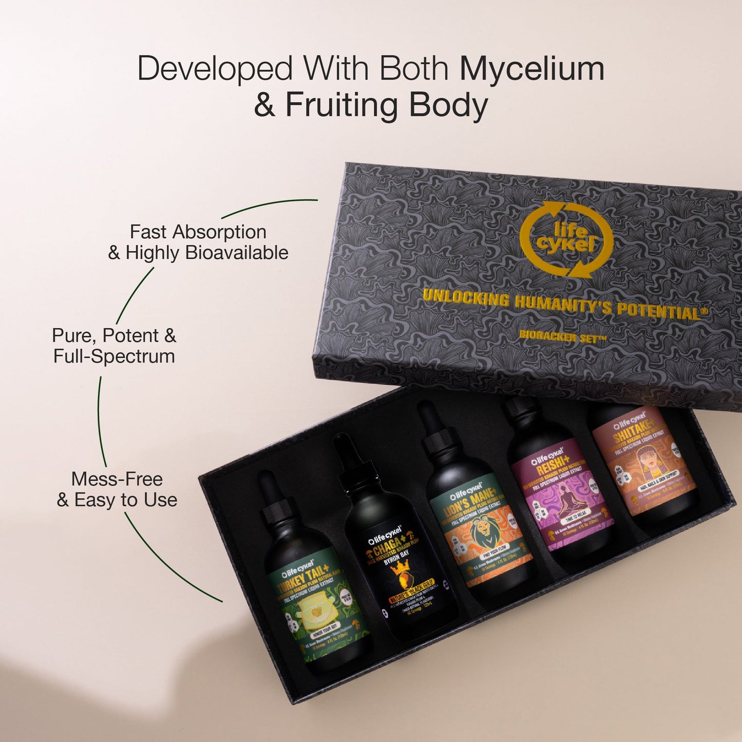 Collection of Lifecykel mushroom extracts product bottles in a black box with 'Lifecykel' branding on a beige background.