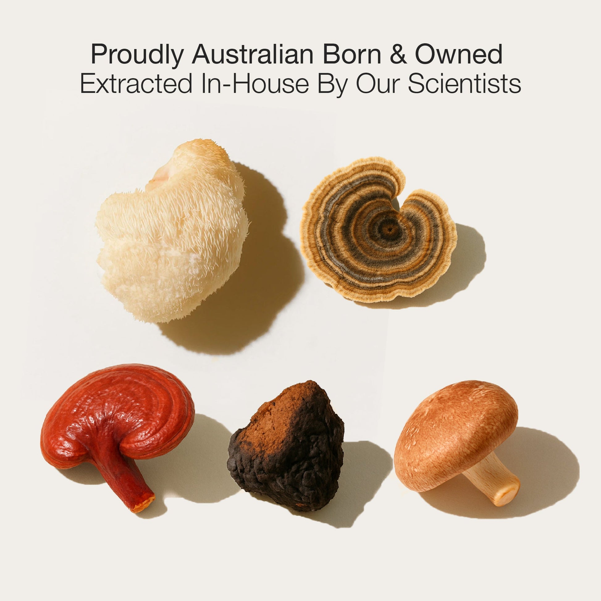 Five different types of mushrooms on a light background with text about Australian origin and in-house extraction.