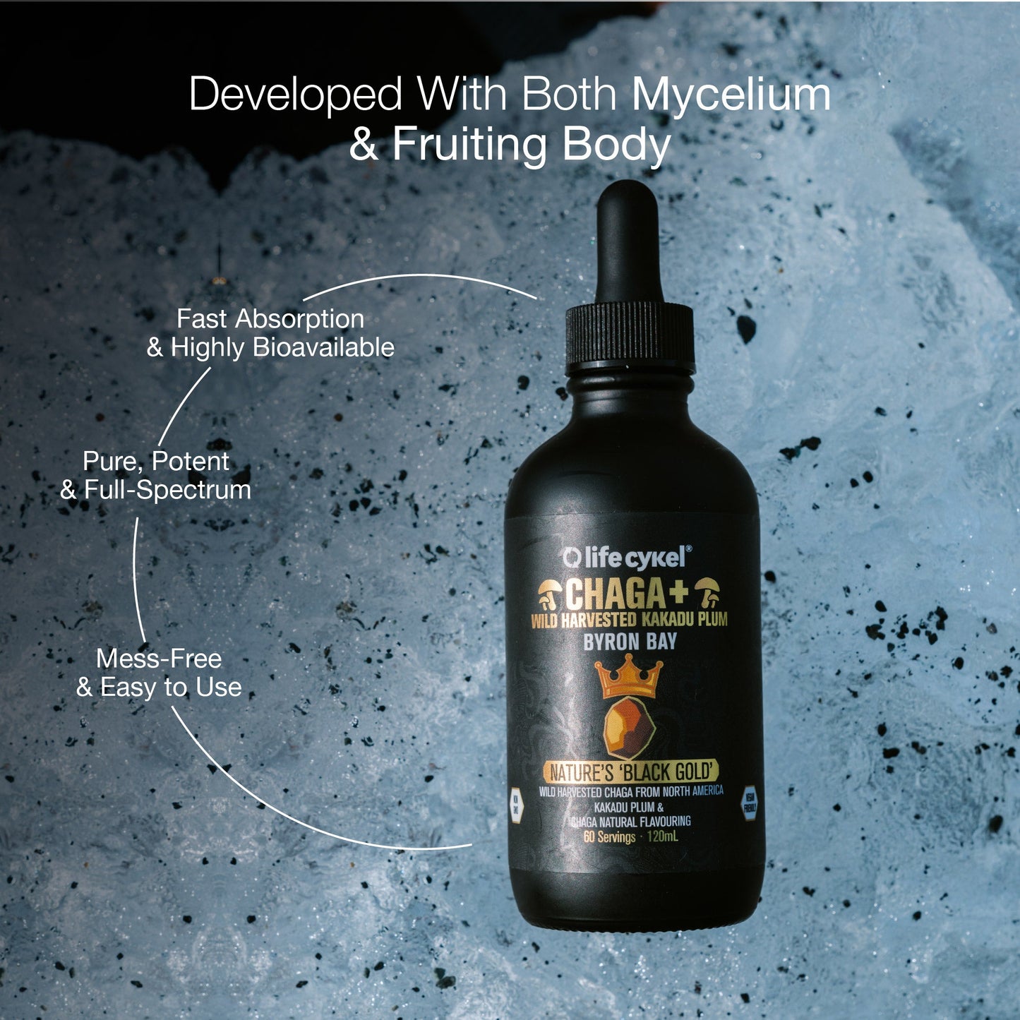 Lifecykel Chaga mushroom extracts bottle with text on a textured gray background