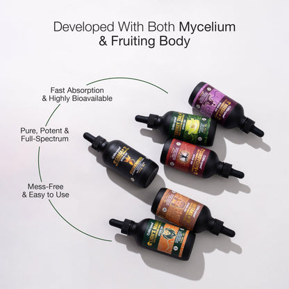 Bottles of a Lifecykel mushroom extracts product developed with mycelium and fruiting body, on a light gray background.