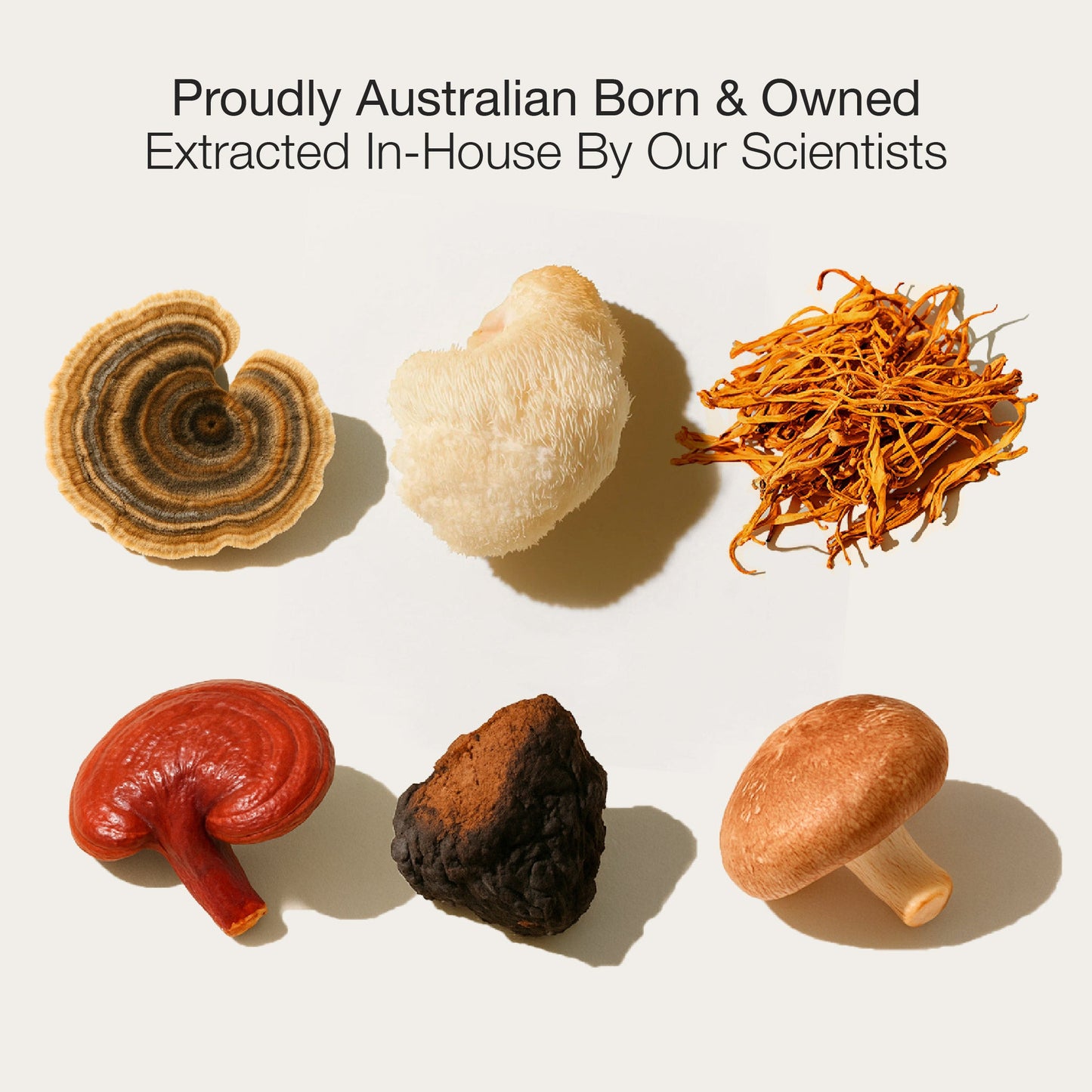Various types of mushrooms on a light background with text about being 'Proudly Australian Born & Owned' and 'Extracted In-House By Our Scientists'.