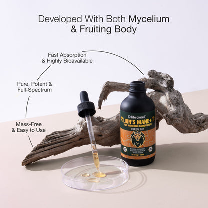 Lifecykel Lion's Mane mushroom extract bottle with dropper and text on a neutral background