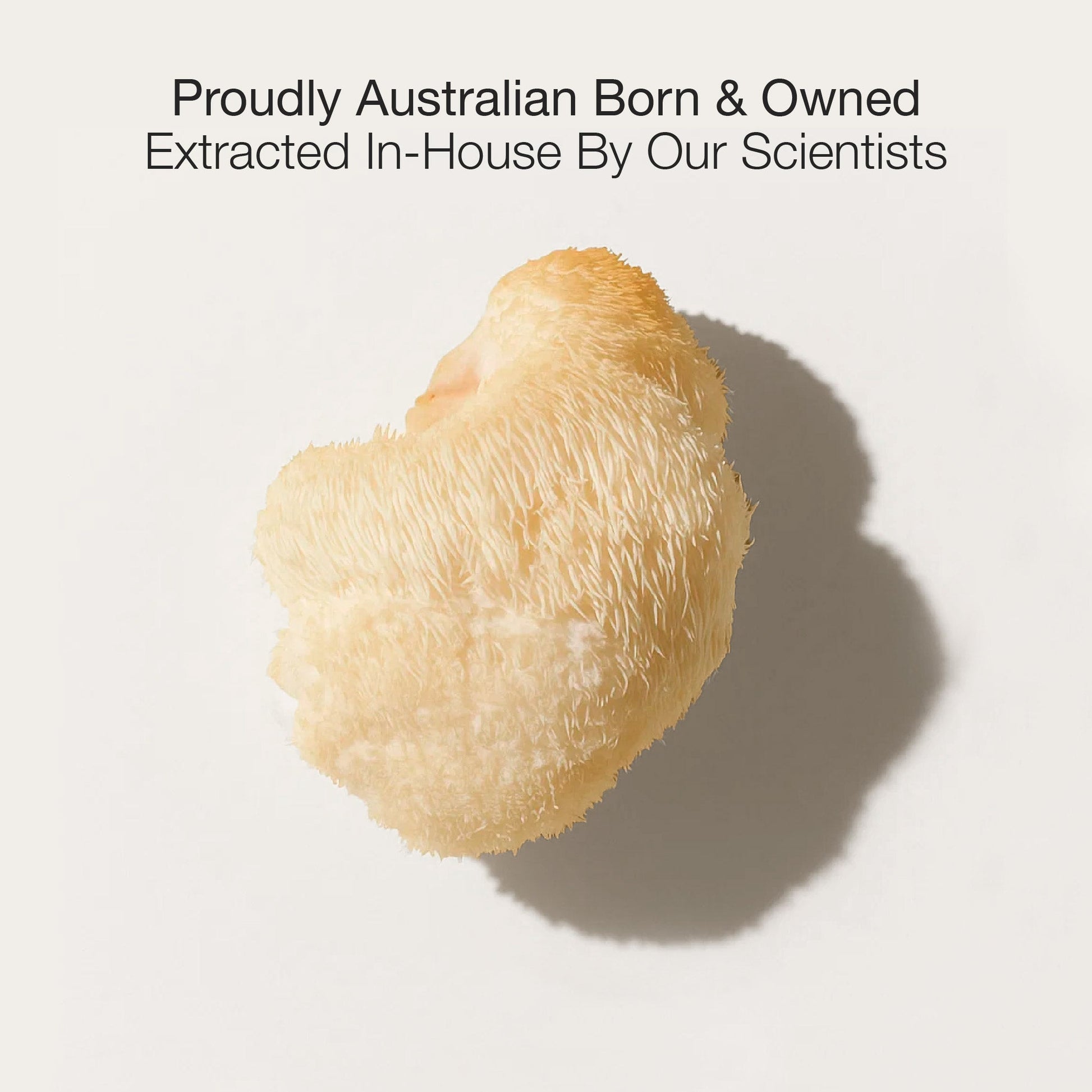 Lion's Mane mushroom on a light background with text about Australian origin and in-house extraction by scientists.