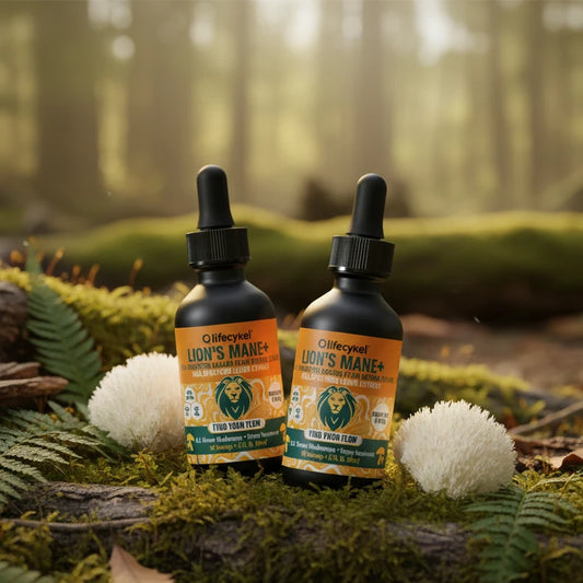 Lion's Mane Mushroom Extract