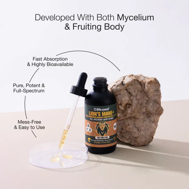 Lion's Mane Mushroom Extract