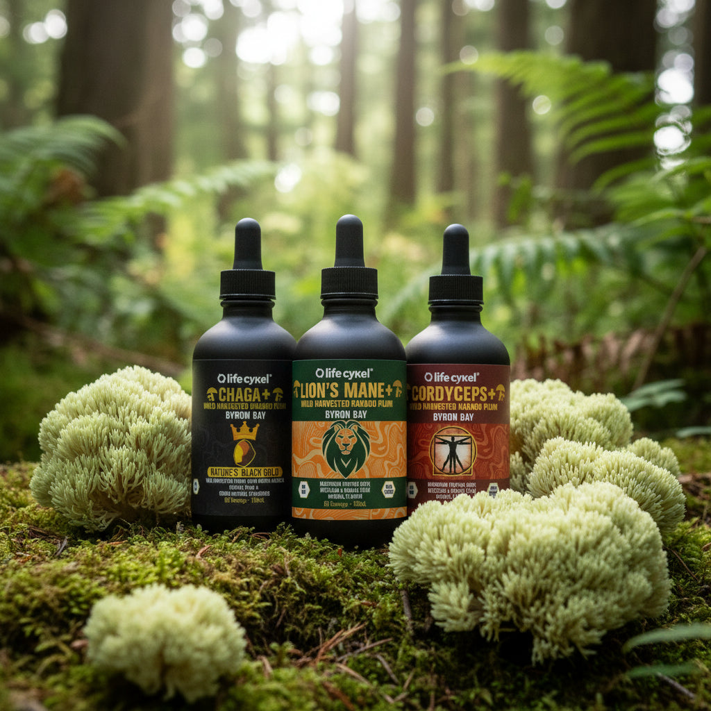 Three Lifecykel mushroom extracts with colorful labels on a white background